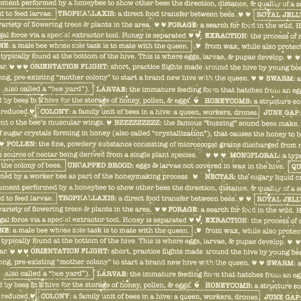 END OF BOLT 1050 Wild Honey 5254-15 Fern by Lella Boutique for Moda Fabrics background 100% cotton quilting fabric