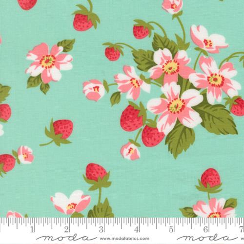 Bloomsberry Aqua 55350 13 Moda backing for Flower Girl 2 4 1/2 yards