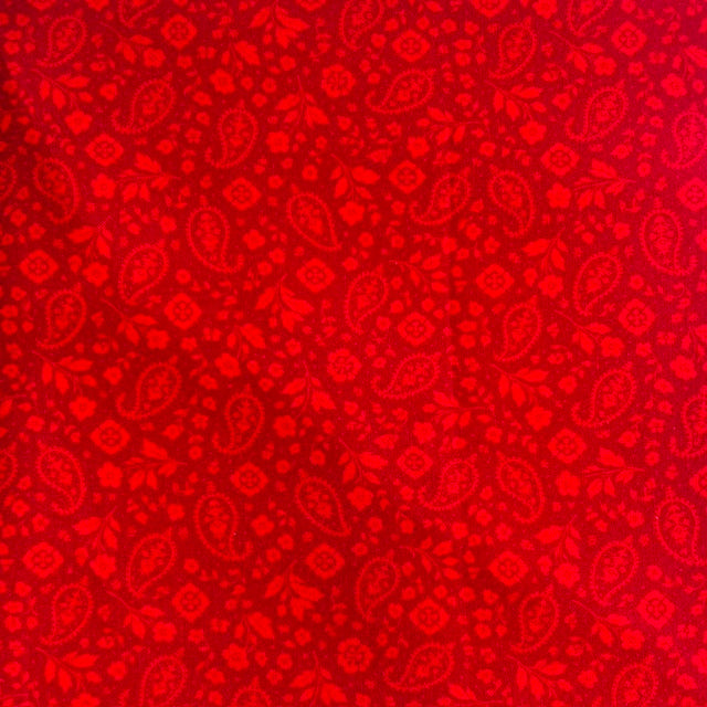 5-Yard Continuous Fabric Cuts Red Paisley on Red background– Endless Possibilities!