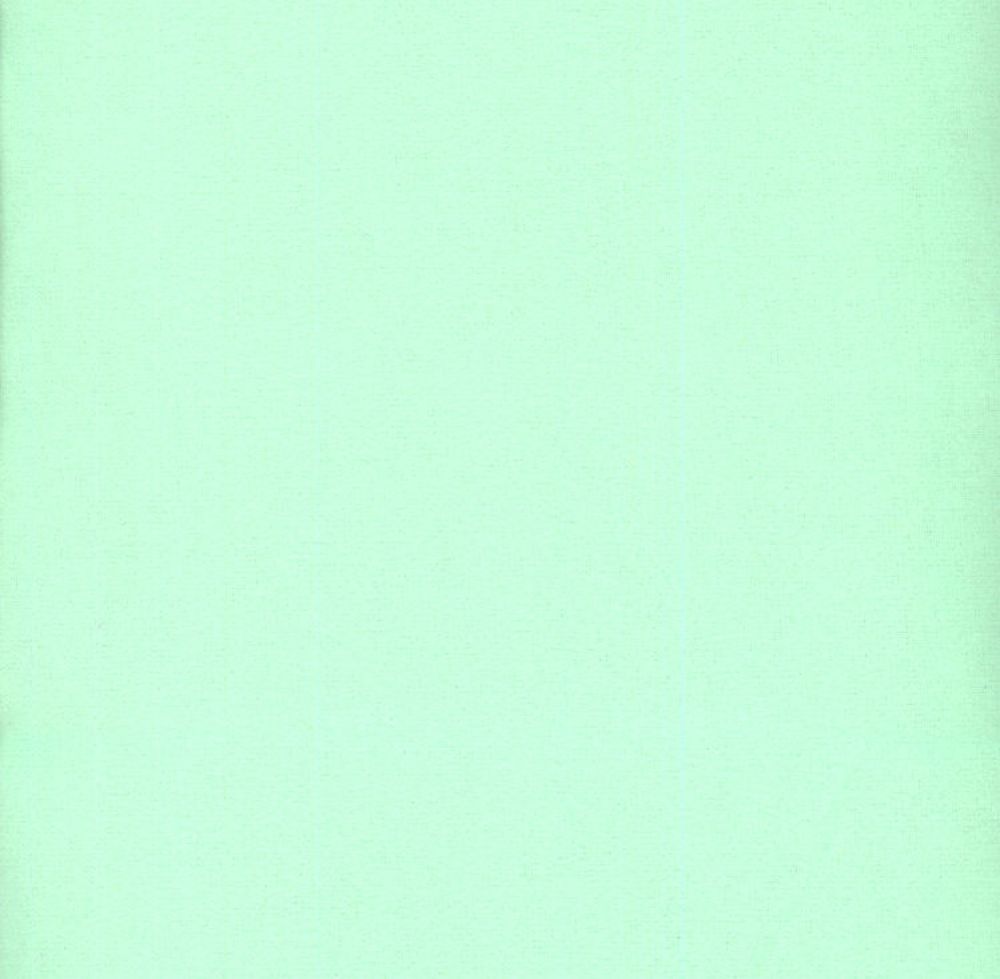 Quilt Fabric BY THE YARD Sale Closeout Bargain Clearance Snuggle Mint 100% cotton flannel quilting fabric