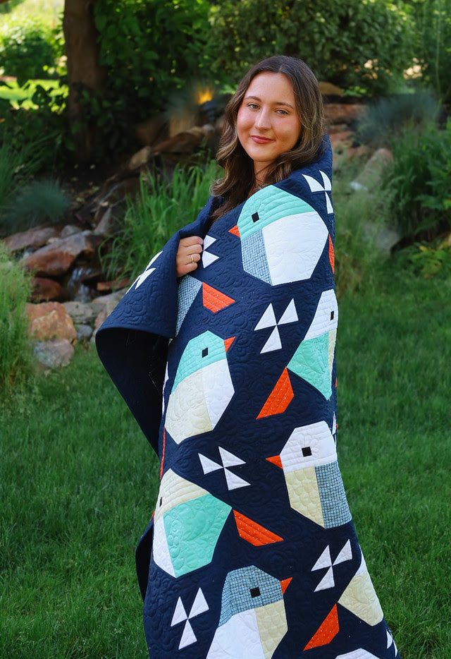 Sparrows Bee Basics Pre-Cut Quilt Kit Featuring Riley Blake Bee Basics fabric