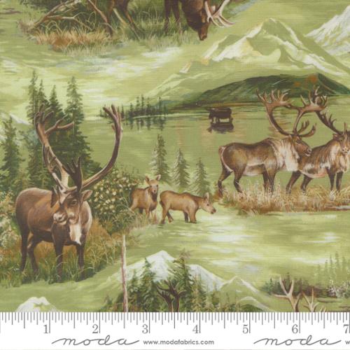 Backing For Wild Blue Yonder quilt 7 1/4 yards Wild Blue Yonder Green Herd Pine 33873 12