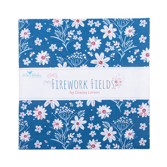 Riley Blake Designs 10-17580-42 Firework Fields 10" Stacker by Gracey Larson