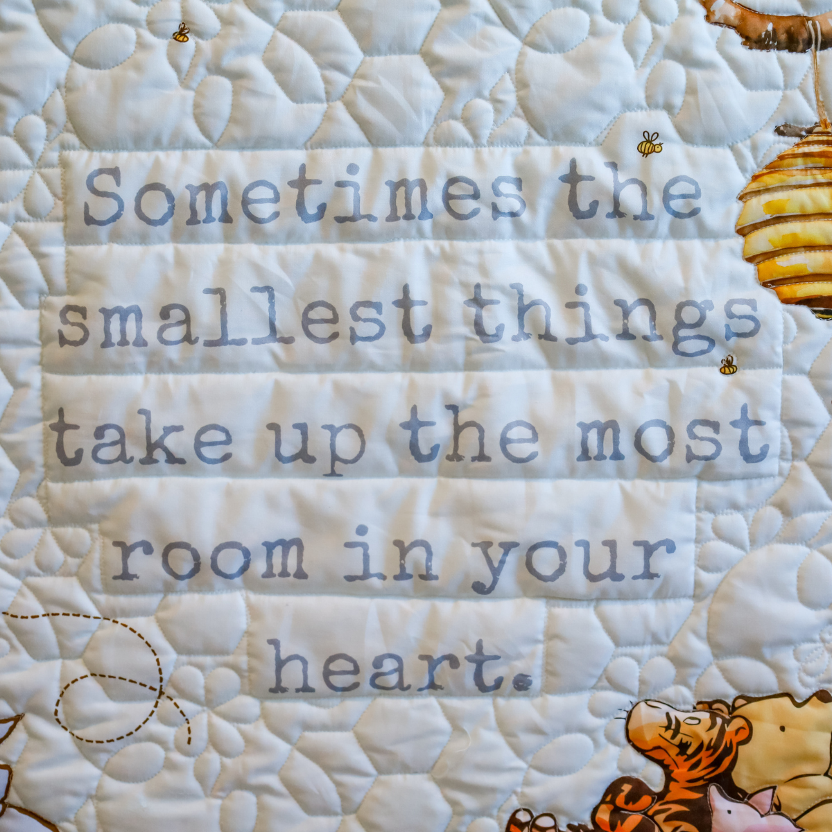 Honey Dreams Easy Snuggle Quilt Kit - (PlushMere Backing Included)
