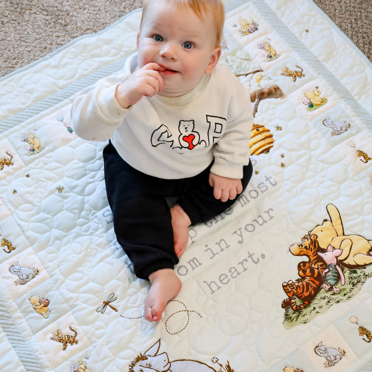 Honey Dreams Easy Snuggle Quilt Kit - (PlushMere Backing Included)