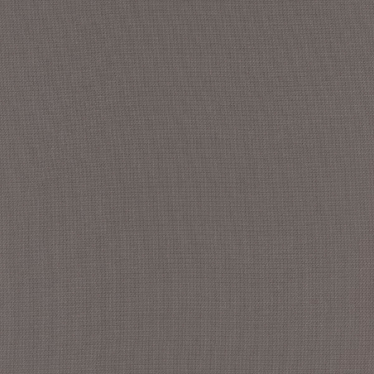 END OF BOLT 610 Riley Blake Confetti Cotton Steel C120 Fabric background 100% cotton quilting fabric