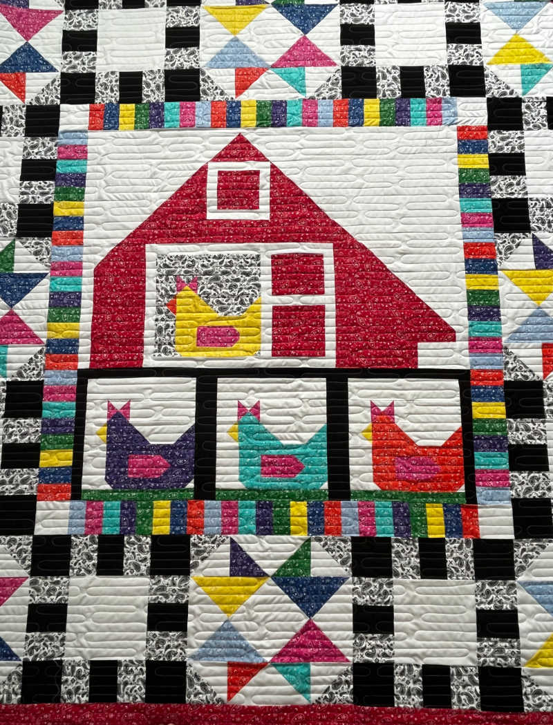 Chicken Coop Quilt Sample Featuring Paisley Bandana, 74" x 74" image 3