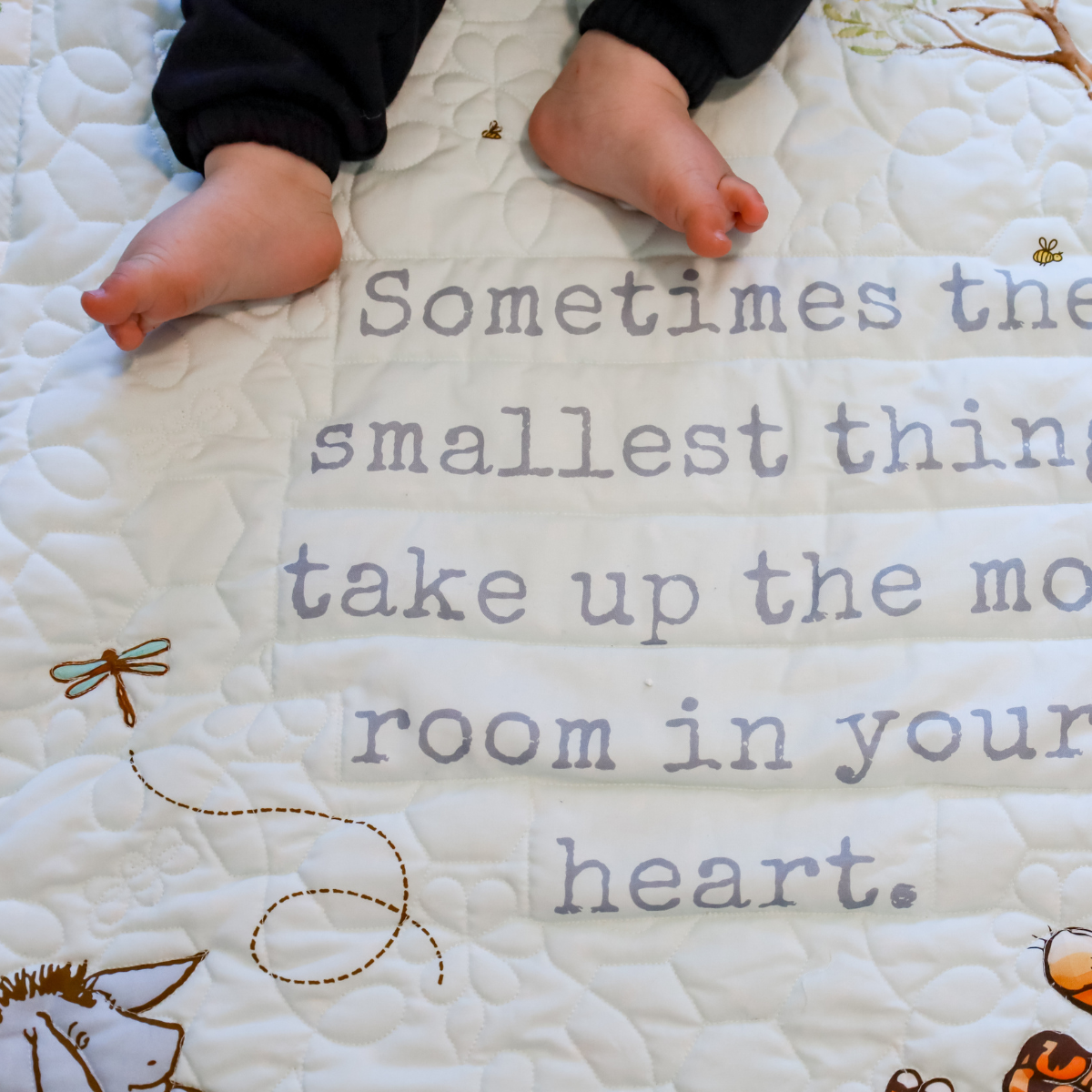 Honey Dreams Easy Snuggle Quilt Kit - (PlushMere Backing Included)
