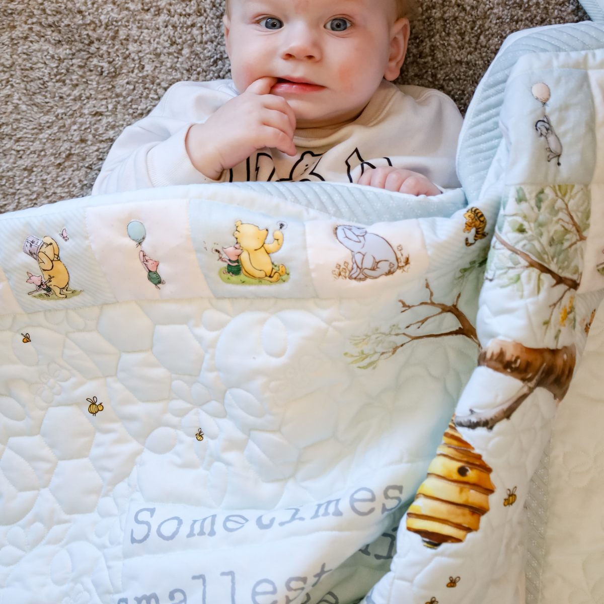 Honey Dreams Easy Snuggle Quilt Kit - (PlushMere Backing Included)