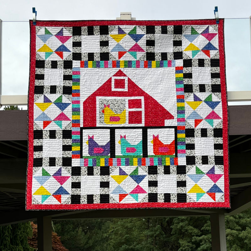 Chicken Coop Quilt Sample Featuring Paisley Bandana, 74" x 74" image 4