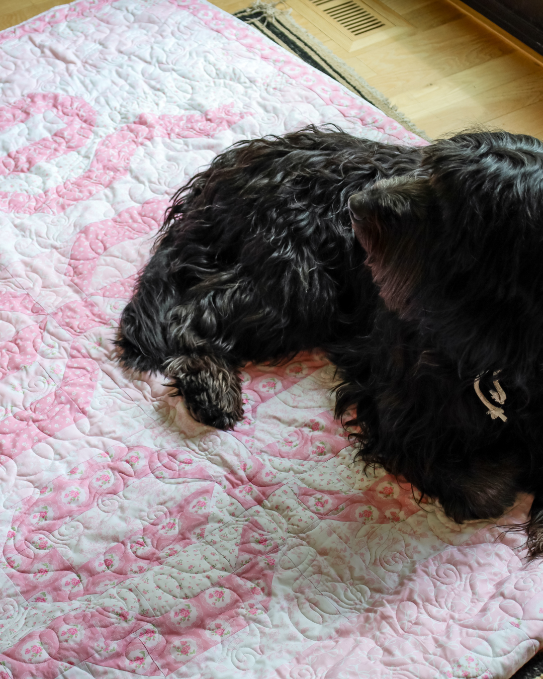 Love Blossoms Pre Cut Quilt Kit