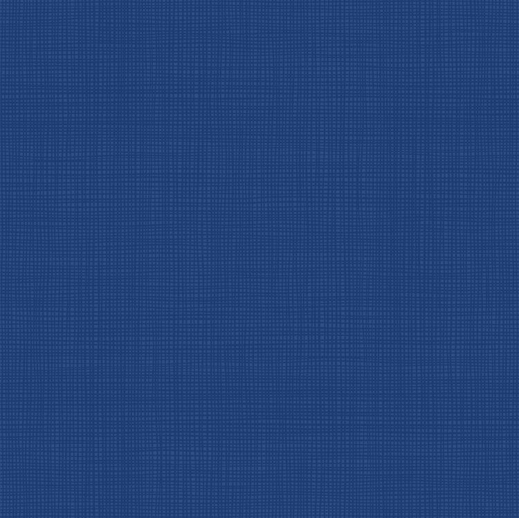 Harbor  Backing for The Prism Flight Quilt Quilt 5 1/2  yards