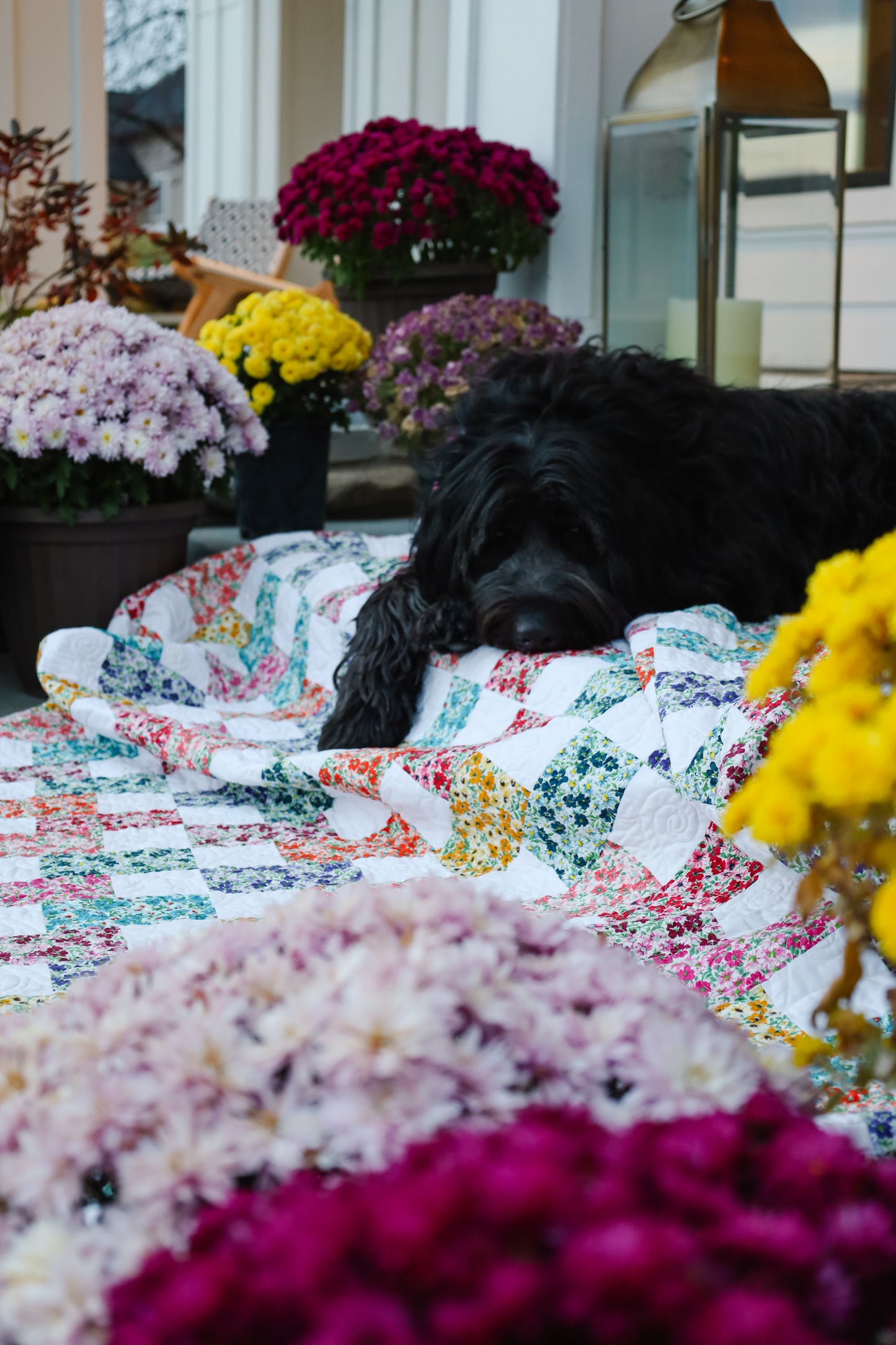 Brick Prairie Precut Quilt Kit (Includes Backing!)