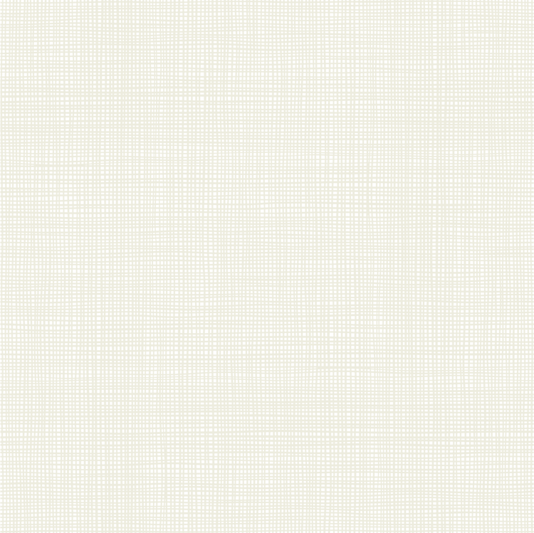 Marshmallow Backing for The Prism Flight Quilt Quilt 5 1/2  yards