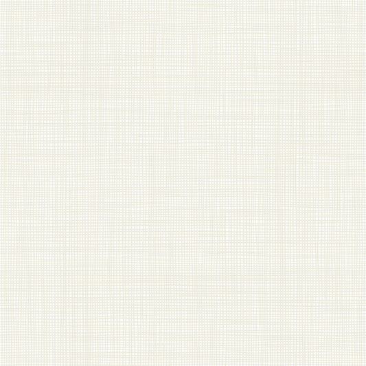 Marshmallow Backing for The Prism Flight Quilt Quilt 5 1/2  yards
