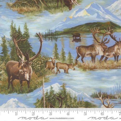 Backing For Wild Blue Yonder quilt 7 1/4 yards Wild Blue Yonder Herd Sky 33873 11 Moda