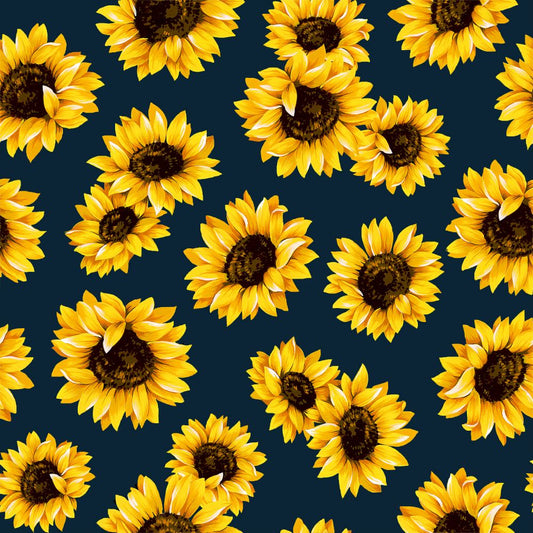 Sunflowers on Navy  backing for Picket Fences Sunflower quilt, 4 yards
